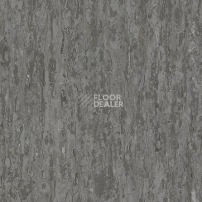 Линолеум Tarkett iq Optima BEIGE GREY 0874 фото 1 | FLOORDEALER